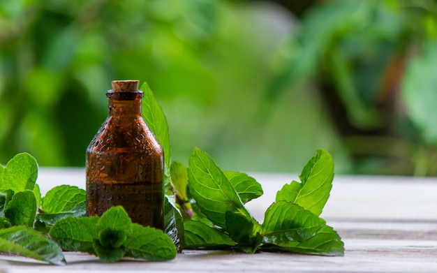 El extracto de menta en un tarro pequeño