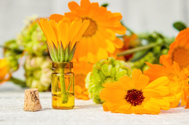 Extrato de calêndula e flores em uma pequena garrafa. foco seletivo.