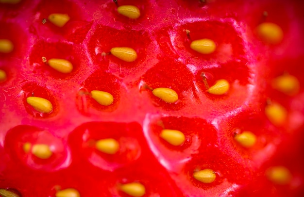 Foto extremadamente cercano macro disparo de semillas de fresa patrón textura de fondo