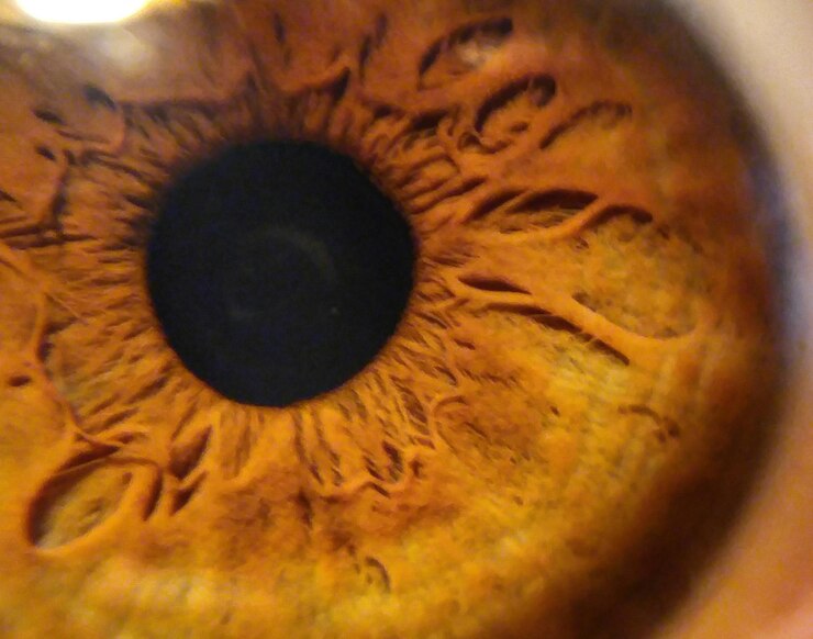 Foto extremo close-up da pintura