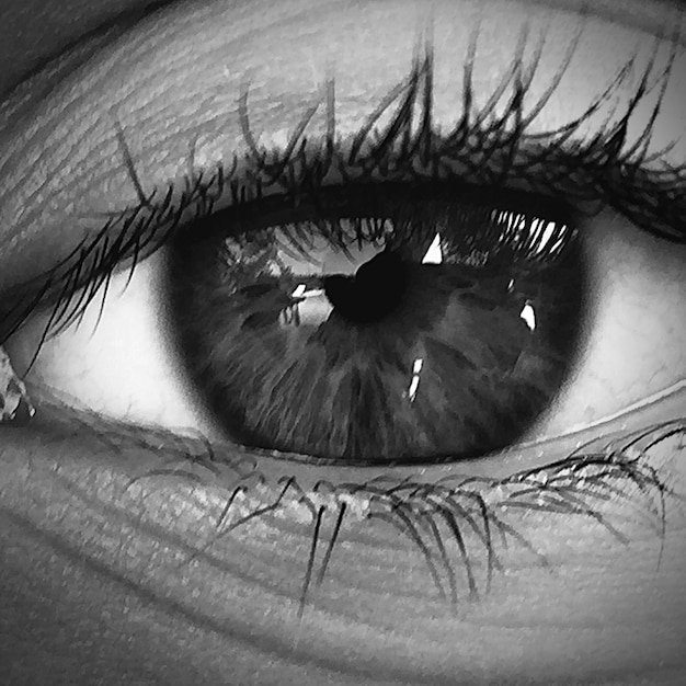 Foto extremo close-up do olho humano