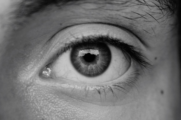 Extremo primer plano del ojo humano