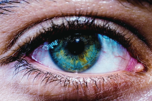 Foto extremo primer plano del ojo humano