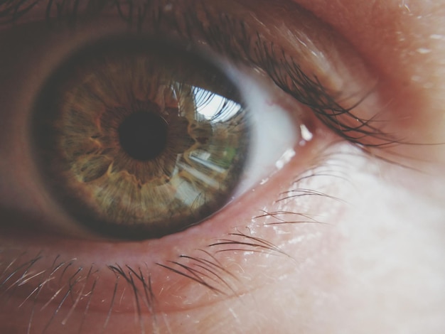 Extremo primer plano del ojo humano