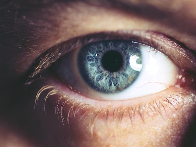 Extremo primer plano del ojo humano