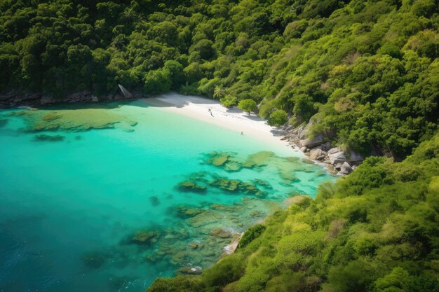 Exuberante bosque verde rodeado de un océano cristalino creado con IA generativa