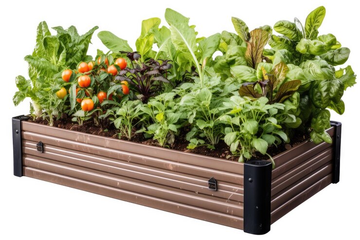El exuberante Edén, un jardín inundado de plantas verdes