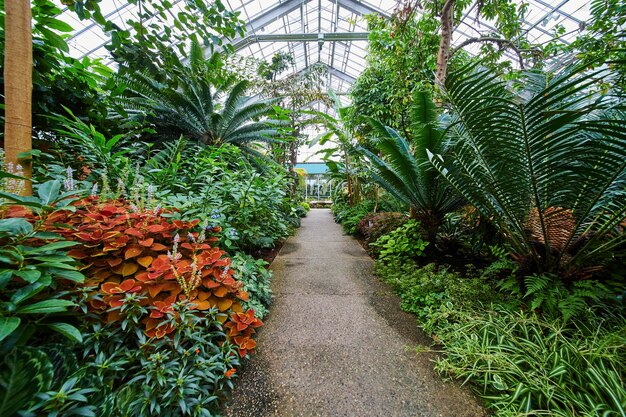 El exuberante sendero de invernaderos en el Jardín Botánico de Matthaei