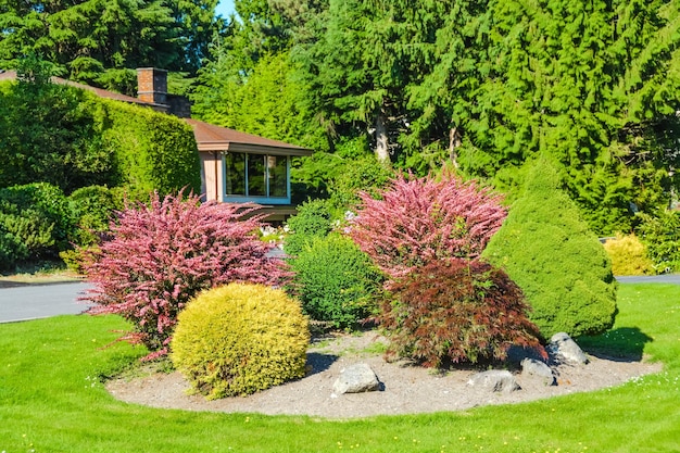 Exuberante vegetación de paisaje en frente de la casa