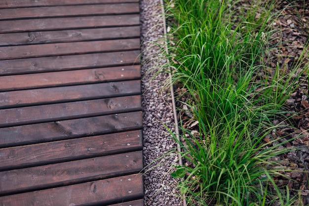 Exuberantes peonías rosas en un macizo de flores de verano contra un fondo de una pared de ladrillos Paisajismo Plantas con flores perennes