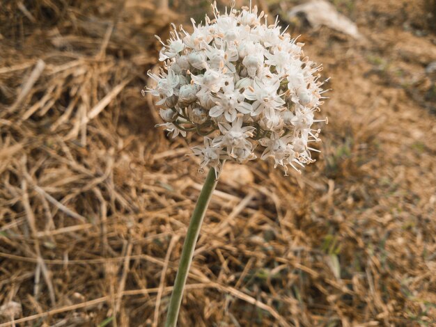 Foto eyeem selecciona