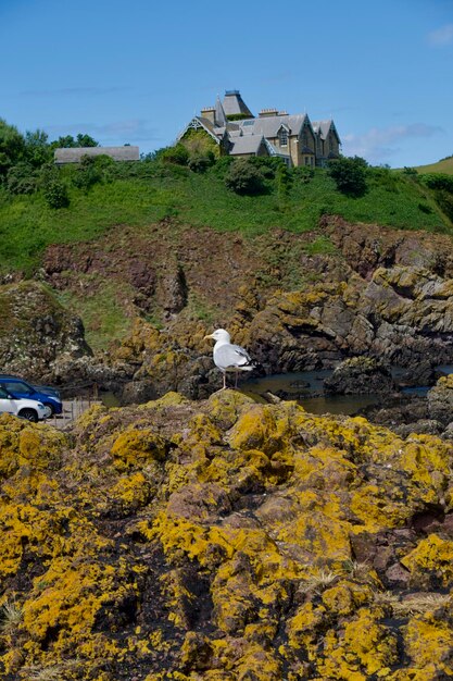 Eyemouth es una pequeña ciudad y una parroquia civil en Berwickshire, en la zona de Scottish Borders de Escocia.