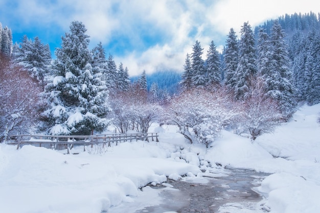 Foto fabelhafte winterlandschaft mit frischem schnee nach einem schneefall fichtenwald und bergfluss im eis