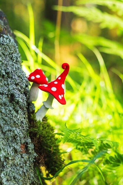 Fabelhafter Fliegenpilz aus Plastilin im Wald