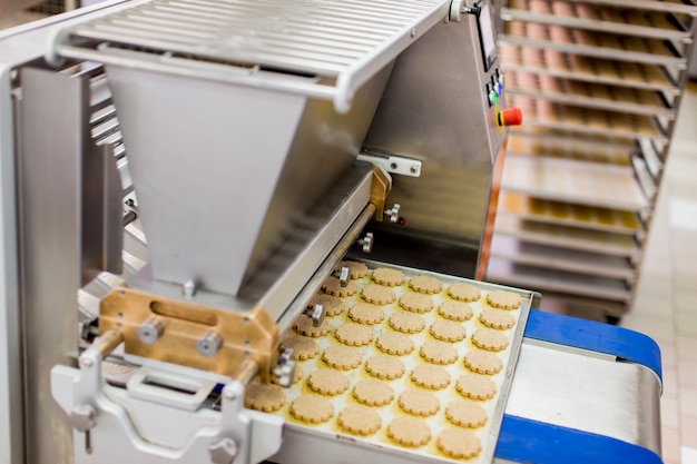 Foto fábrica de galletas