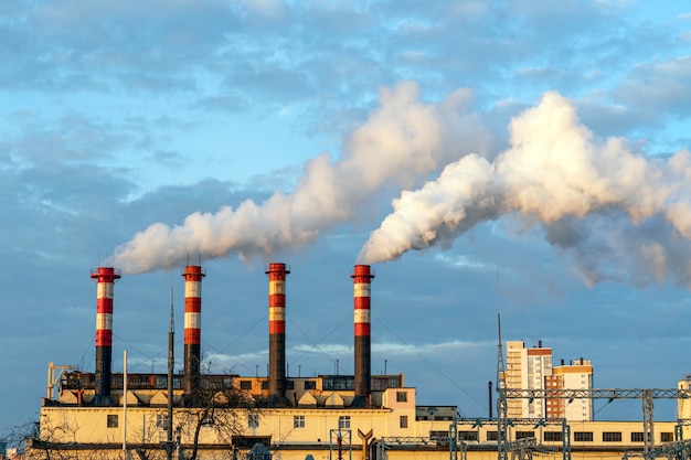 Fábrica de pipa de fumar. humo de pipas contra el cielo