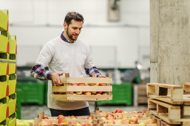 Fabricación en una fábrica de manzanas