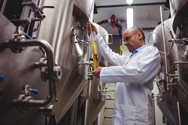 Fabricante examinando cerveja