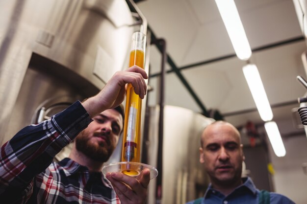 Fabricante examinando cerveza en tubo en cervecería