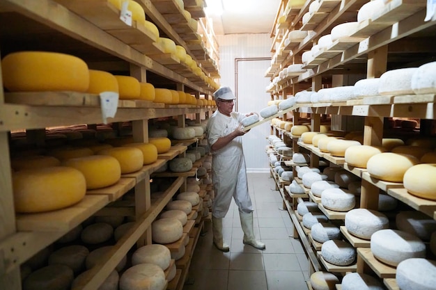 Fabricante de queso en el almacenamiento con estantes llenos de ruedas de queso de vaca y cabra durante el proceso de envejecimiento en la fábrica local de producción de alimentos