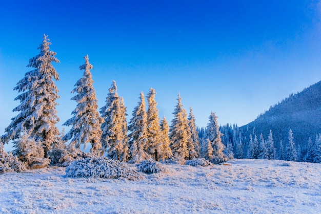 Fabulosa paisagem de inverno