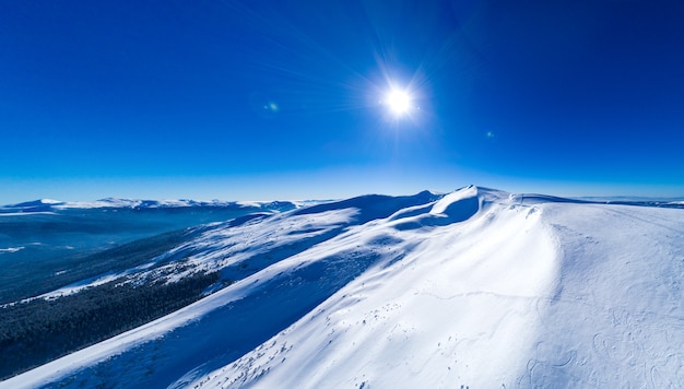 Fabulosa vista de la soleada pista de invierno con árboles nevados ubicada en la estación de esquí