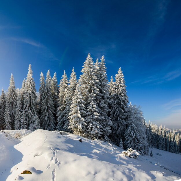 Fabuloso paisaje de invierno