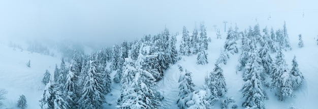 Fabuloso panorama cubierto de nieve de abetos que crecen en las laderas de las montañas en invierno en tiempo nublado y brumoso. Concepto de estación de esquí y deportes de invierno