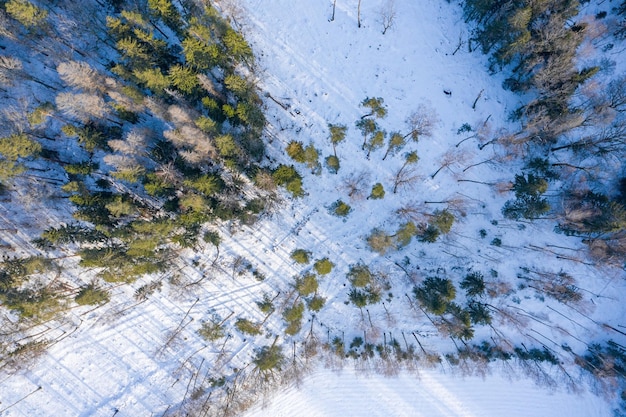 Fabuloso panorama de invierno aéreo del bosque de montaña con abetos cubiertos de nieve. Escena al aire libre colorida, concepto de celebración de feliz año nuevo. Belleza del fondo del concepto de naturaleza.