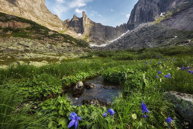 Fabulosos arroyos de montaña, exuberante vegetación y flores alrededor. Agua de manantial descongelada de las montañas. Vistas mágicas de altas montañas, prados alpinos