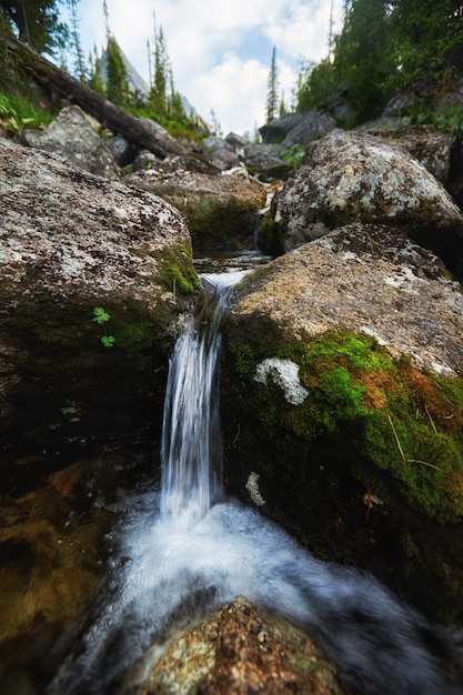 Fabulosos arroyos de montaña, exuberante vegetación y flores alrededor. Agua de manantial descongelada de las montañas. Vistas mágicas de altas montañas, prados alpinos