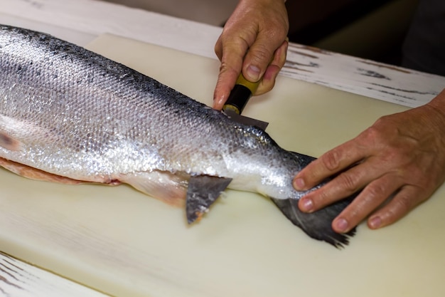 Faca de cozinha cortando peixe cru. Mão masculina toca peixe cru. O Chef limpa o salmão fresco. Ingrediente para prato de alta proteína.