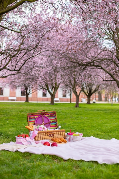 Faça um piquenique no parque sob cerejeiras em flor com frutas, vinho, pão e croissants