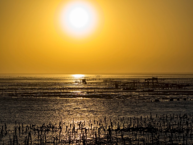 Fachada da Zona Intertidal de Wanggong em WanggongChanghua County Taiwan