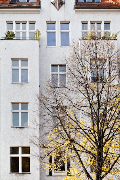 Fachada do prédio de apartamentos e tília amarela