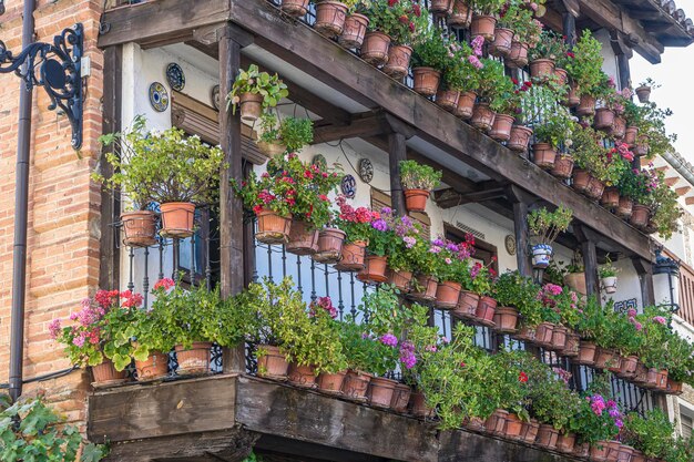 Fachada de edificio antiguo con macetas. Turismo en el centro de España, decoración vegetal típica