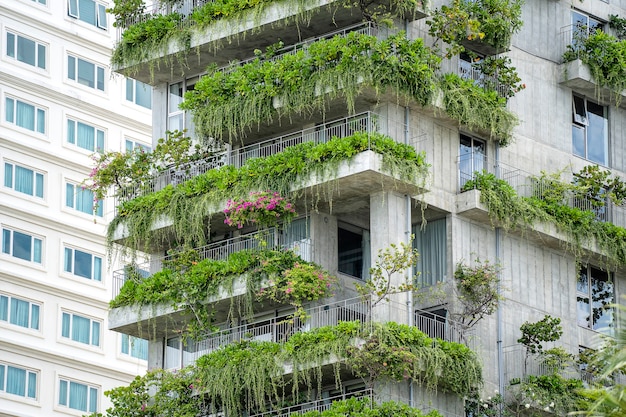 Fachada de edificios ecológicos con plantas verdes y flores en el muro de piedra de la fachada de la casa en la calle de la ciudad de Danang en Vietnam
