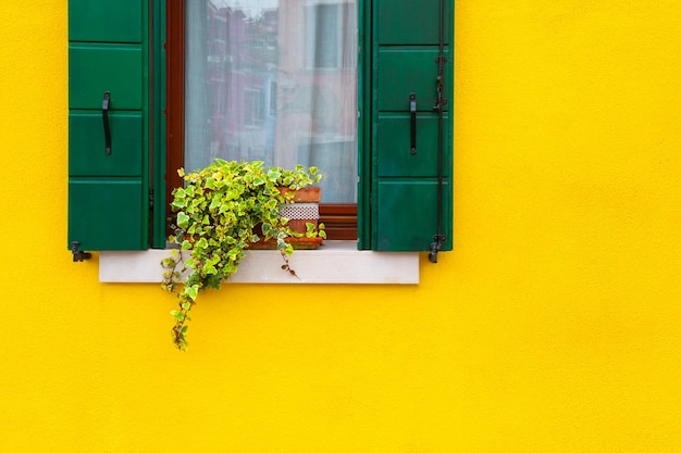 Fachada pintada de amarillo de la casa y ventana con flores.