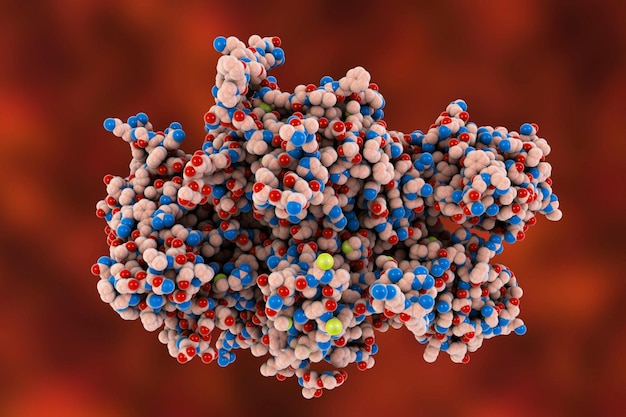 El factor de coagulación VIII (FVIII) es una proteína esencial para la coagulación de la sangre, también conocida como factor antihemofílico (AHF) Ilustración 3D Su deficiencia da lugar a la hemofilia A.