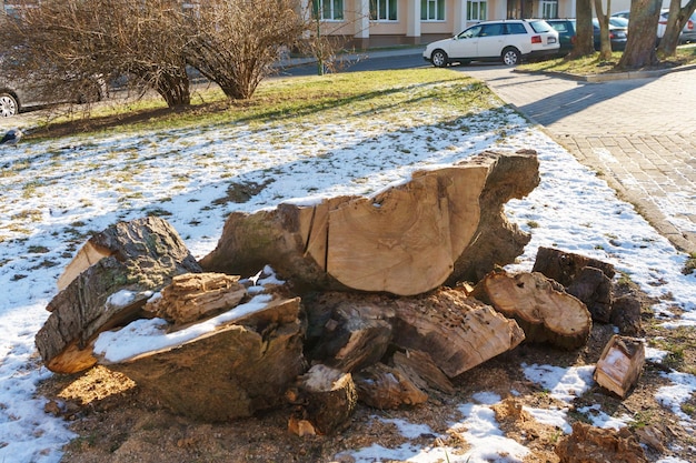 Fällen von Bäumen und Baumstümpfen in der Stadt. Ein abgetrennter Baumstumpf in der Nähe des Bürgersteigs. Verbesserung des Territoriums und der Infrastruktur der Stadt