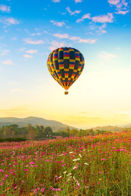 Färben Sie Ballon über schöner Kosmos-Blume im Park