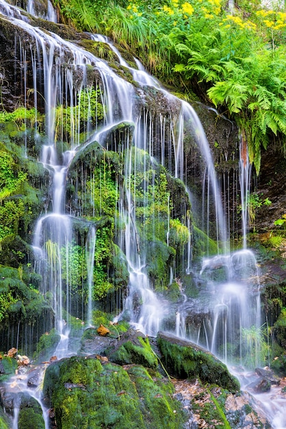 Fahler Wasserfall im Schwarzwaldgebirge. Baden Württemberg, Deutschland