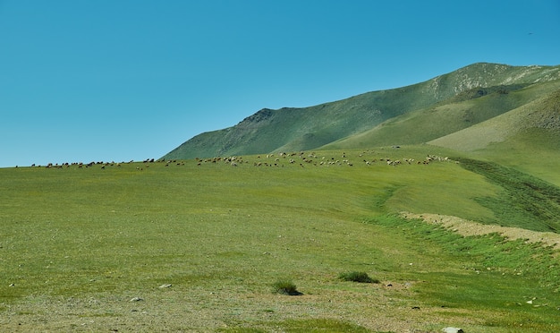 Fahren Sie an Ulaan Davaa, der Hauptstadt der Provinz Uvs in der Mongolei, vorbei.