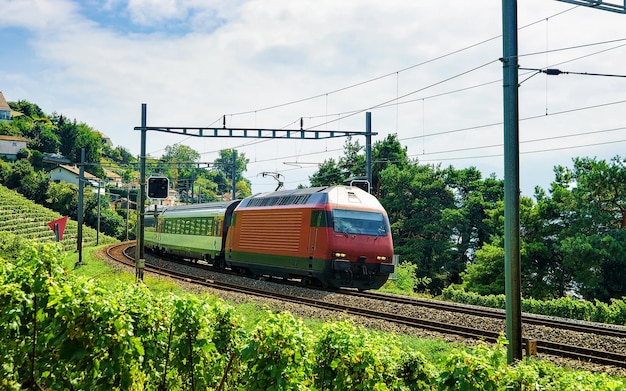 Fahrender Zug und die Eisenbahn auf dem Wanderweg Lavaux Vineyard Terrace, Bezirk Lavaux-Oron, Schweiz