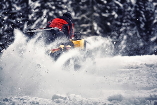 Fahrer beim Quadrennen im Winter im Wald