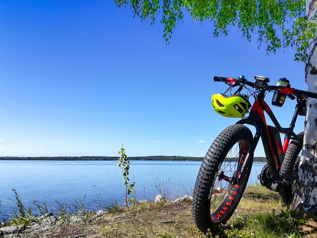 Foto fahrrad am baum gegen den klaren blauen himmel