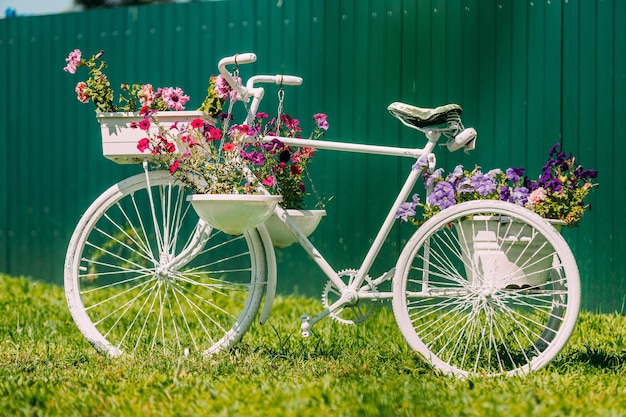 Foto fahrrad auf dem feld