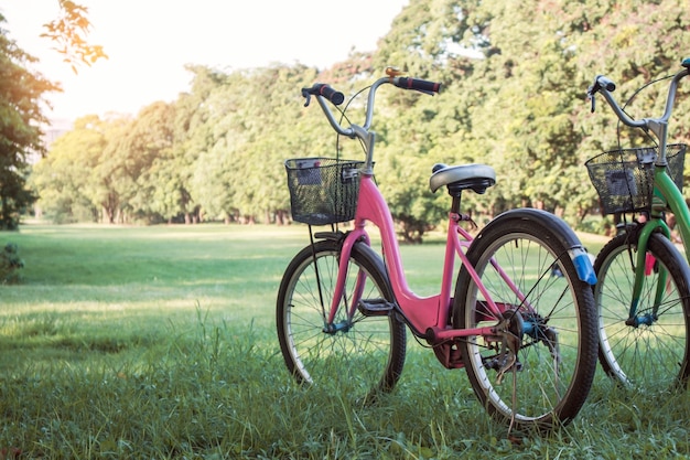 Fahrrad auf dem Rasen.