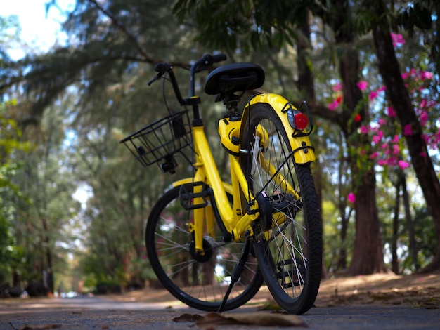 Foto fahrrad gegen gelbe bäume