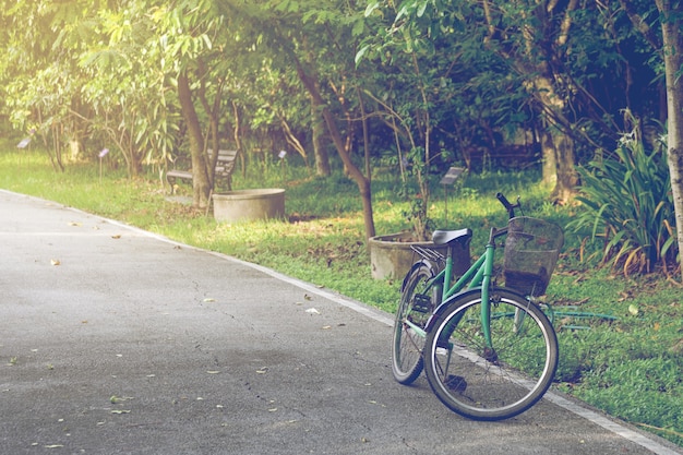 Fahrrad im Park